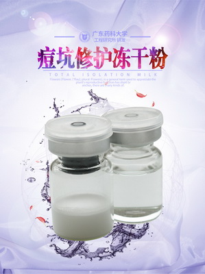 凍干粉貼牌加工